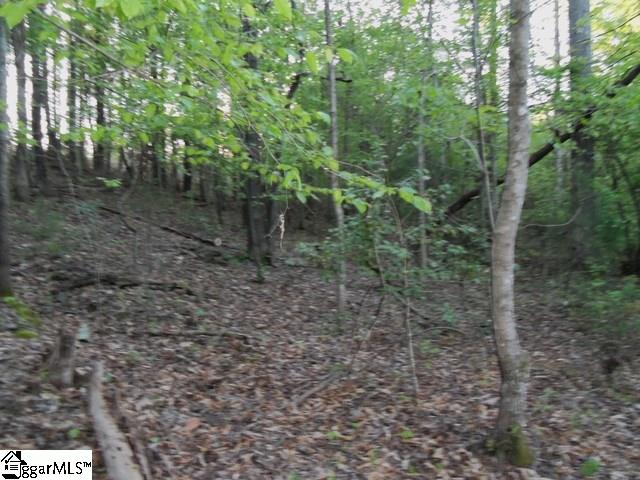 465 Slatton Shoals Road Pelzer, SC 29669 - Photo 10 of 24