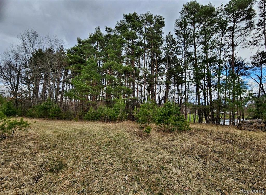 0 Lake George Road Oakland, MI 48363 - Photo 2 of 9