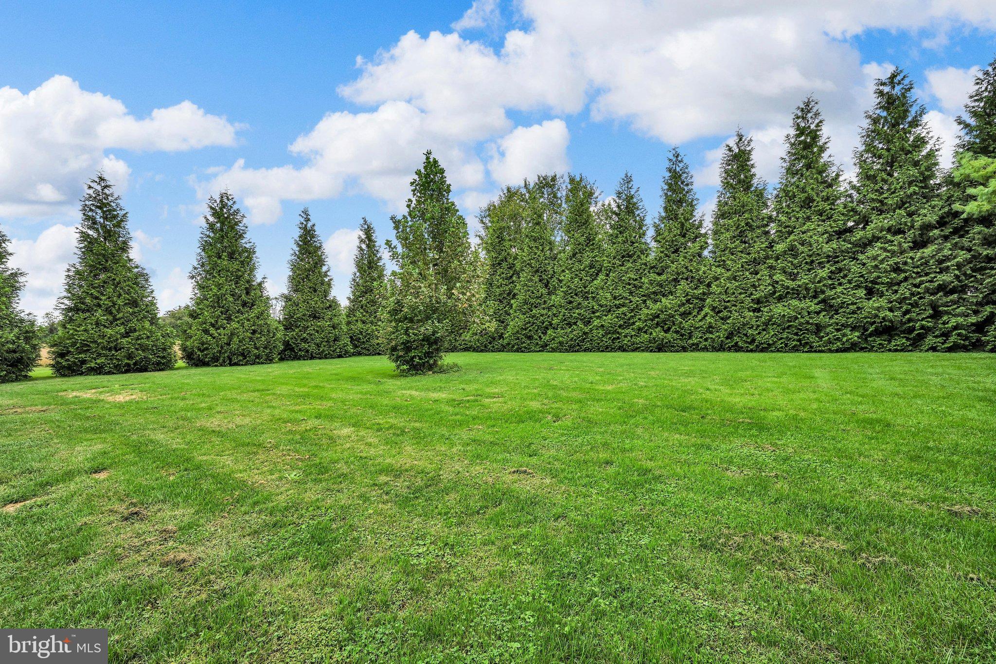 1420 Old Rohrerstown Road Lancaster, PA 17601 - Photo 65 of 72 Backyard