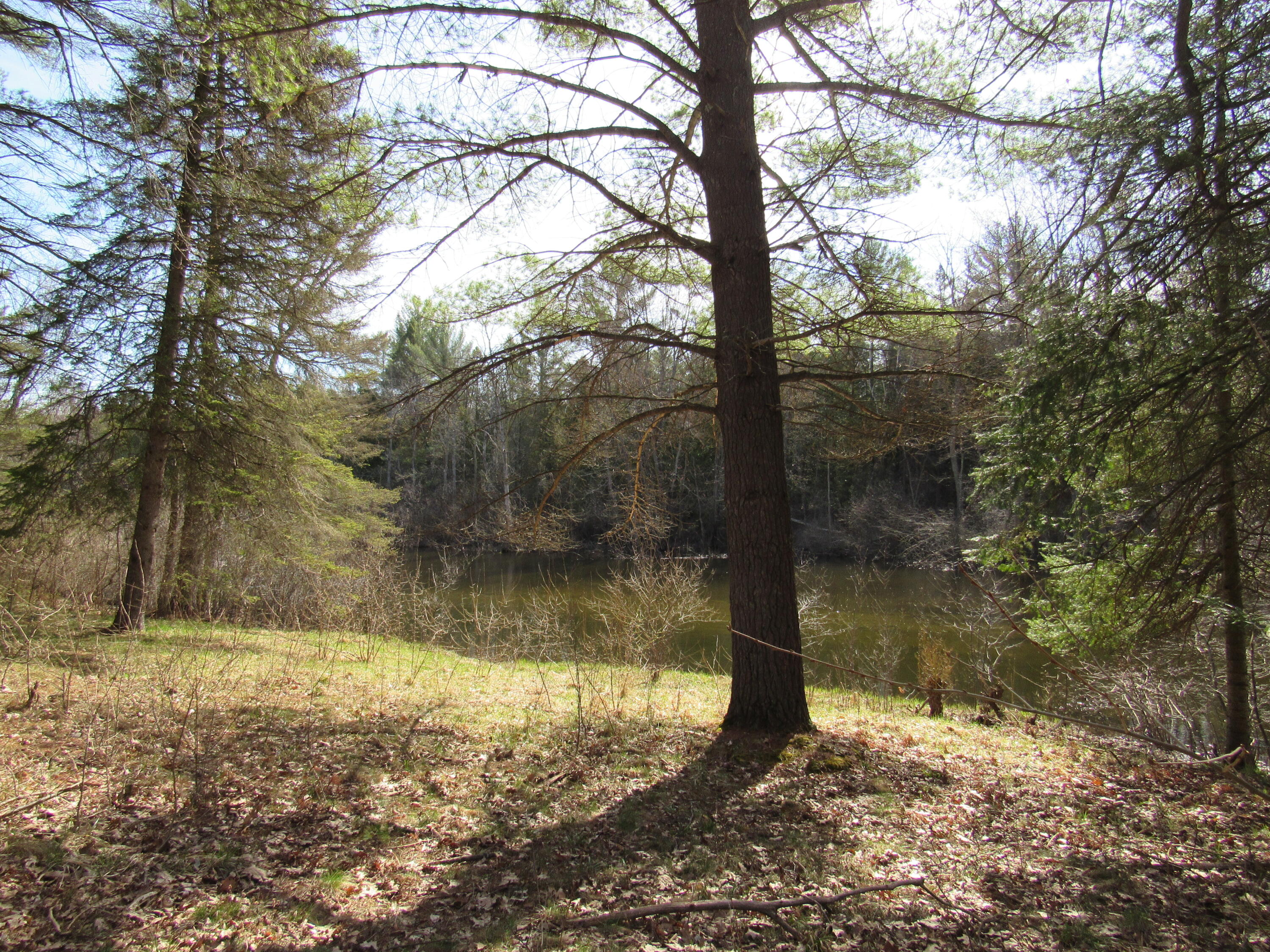 1263 James Road Hillman, MI 49746 - Photo 7 of 21 Gallery Image 7
