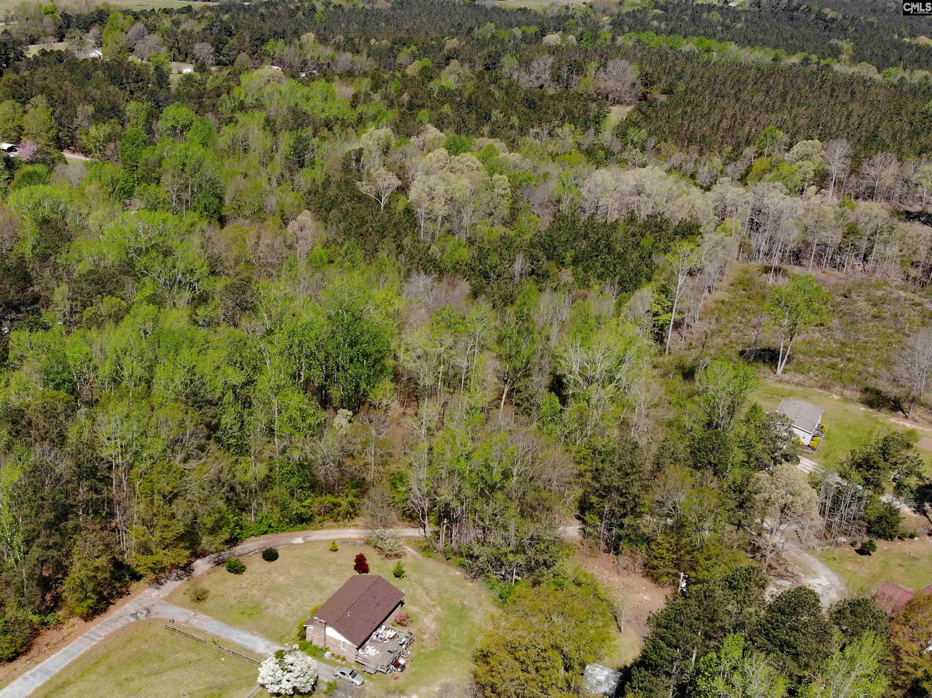Tbd James Road Joanna, SC 29351 - Photo 80 of 82