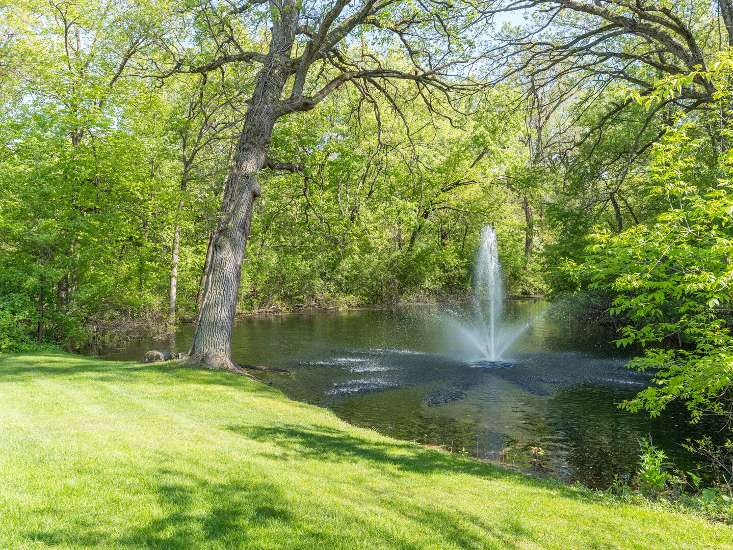 875 Country Club Road St. Charles, IL 60174 - Photo 66 of 82