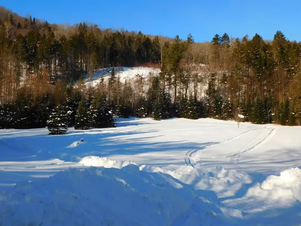 $274,900 | 620 Bishop Brook Road, Stewartstown, NH 03576