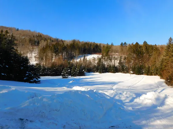 $274,900 | 620 Bishop Brook Road, Stewartstown, NH 03576