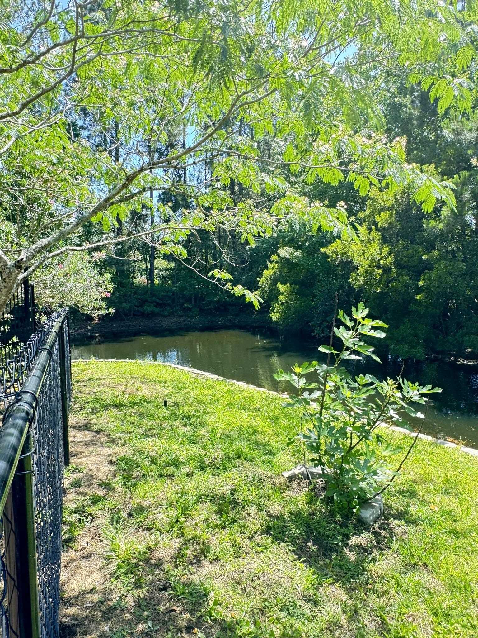 9645 Sullivan Drive Murrells Inlet, SC 29576 - Photo 24 of 28