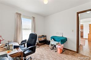 959 Braidwood Road Memphis, MI 48041 - Photo 34 of 58