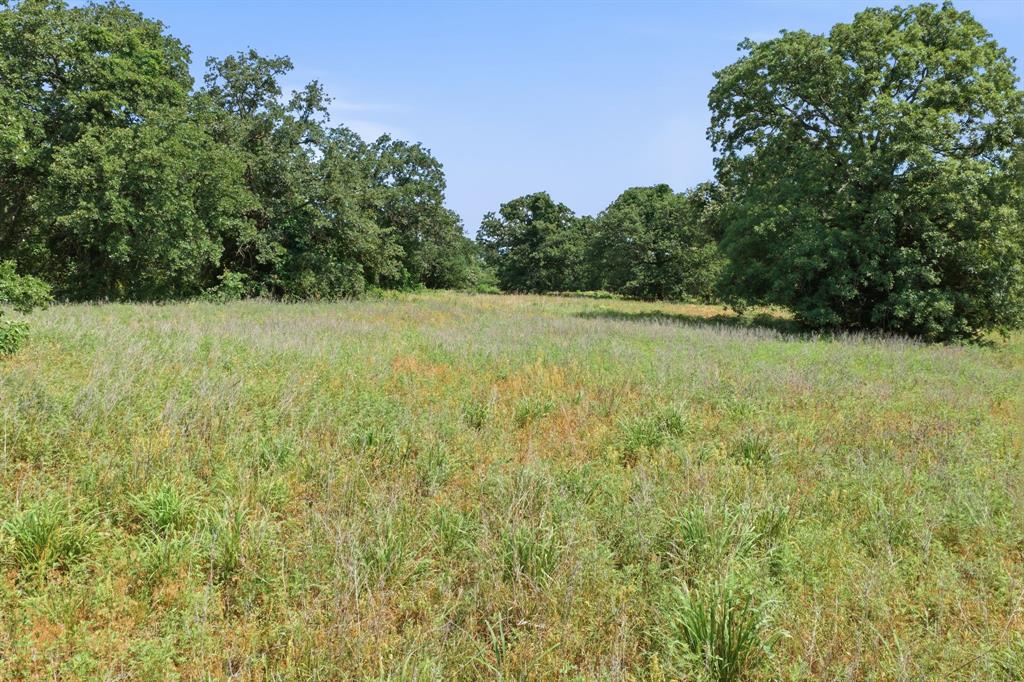 3523 East Highway 199 Springtown, TX 76082 - Photo 38 of 40