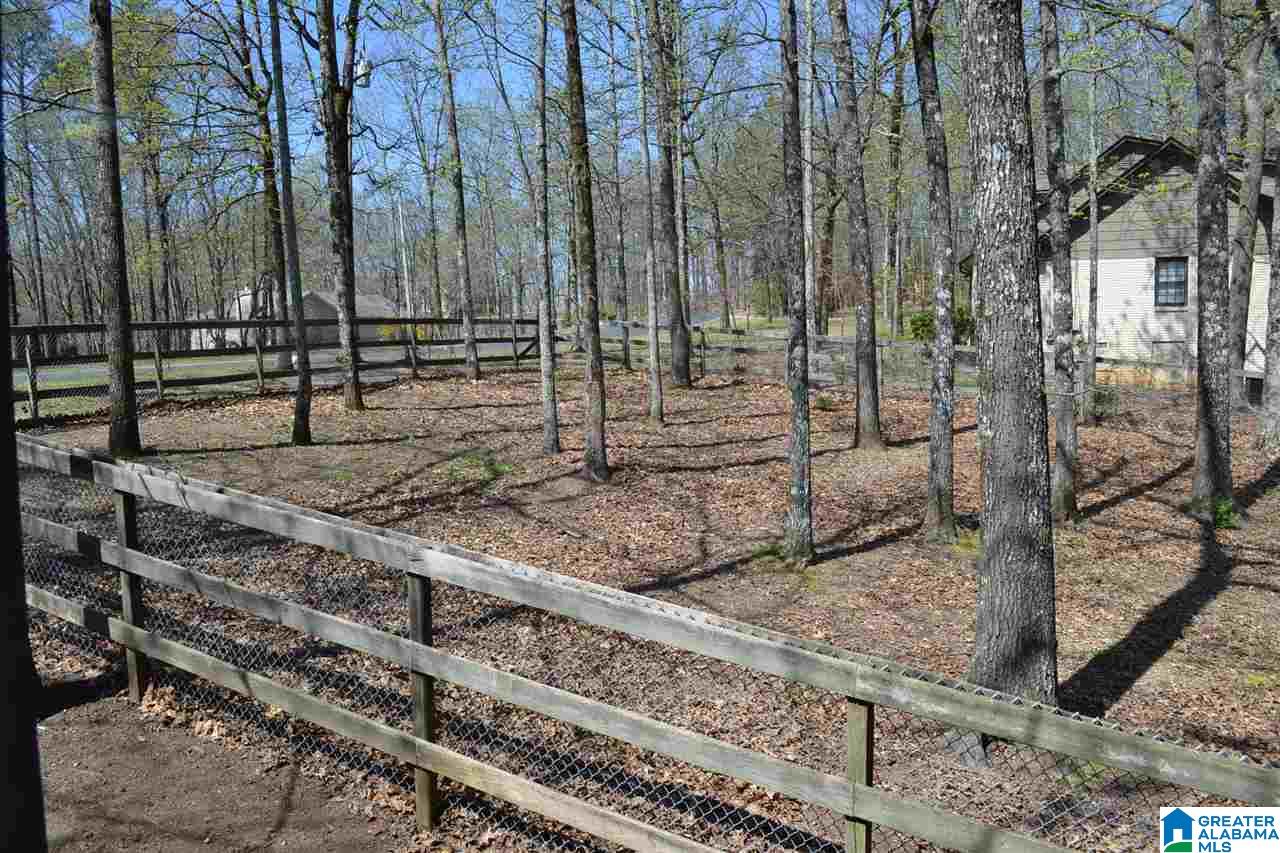 113 Willow Ridge Drive Pelham, AL 35124 - Photo 35 of 45