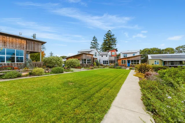 a view of a patio with table and chairs potted plants and large tree