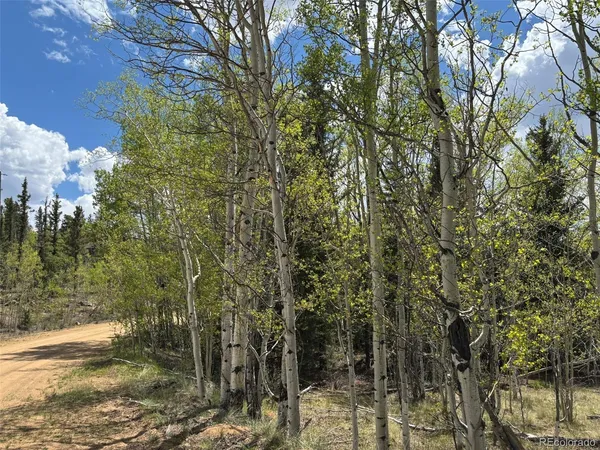 a view of outdoor space and green space