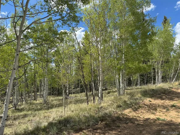 a view of a forest from a balcony