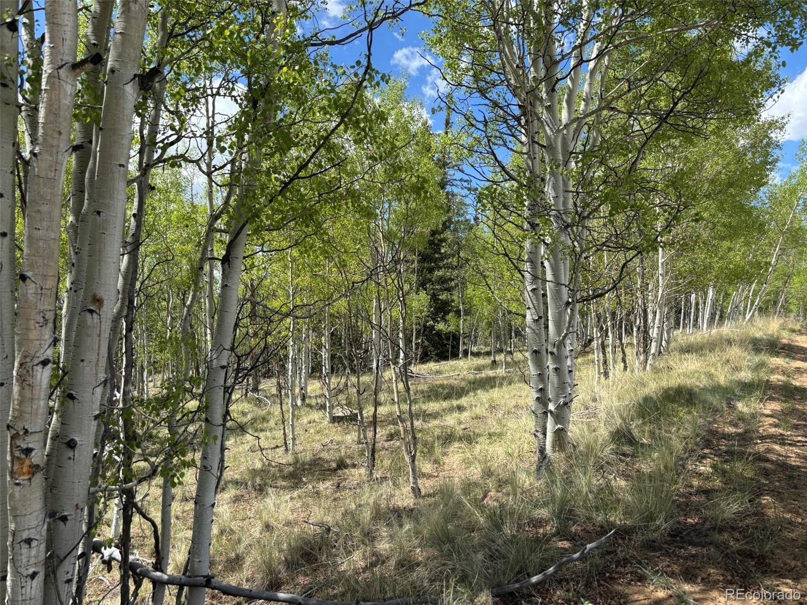 75 Ithaca Lane Como, CO 80456 - Photo 4 of 13