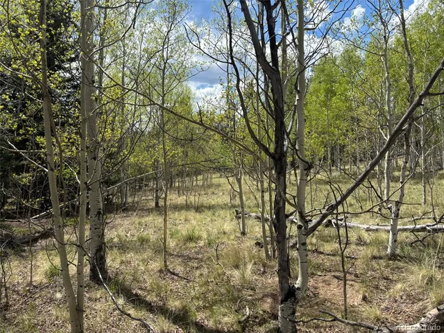 a backyard of a house