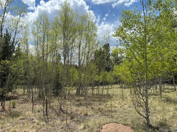 a view of lake from a yard