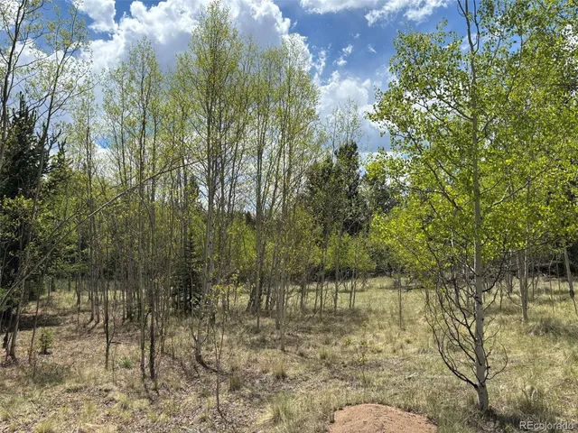 a view of lake from a yard