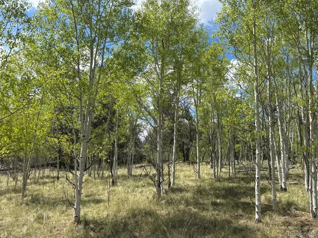 a view of river covered with trees