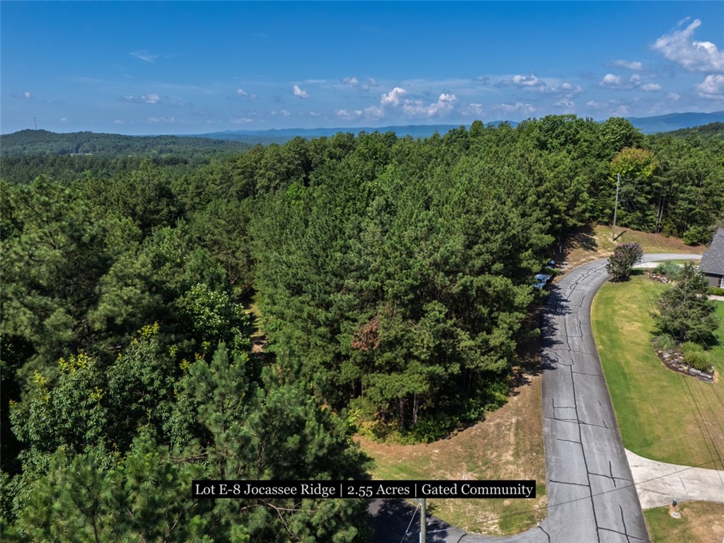 231 Jocassee Ridge Way Salem, SC 29676 - Photo 8 of 15 A winding road navigates a vibrant, tree-lined landscape with distant mountain vistas.