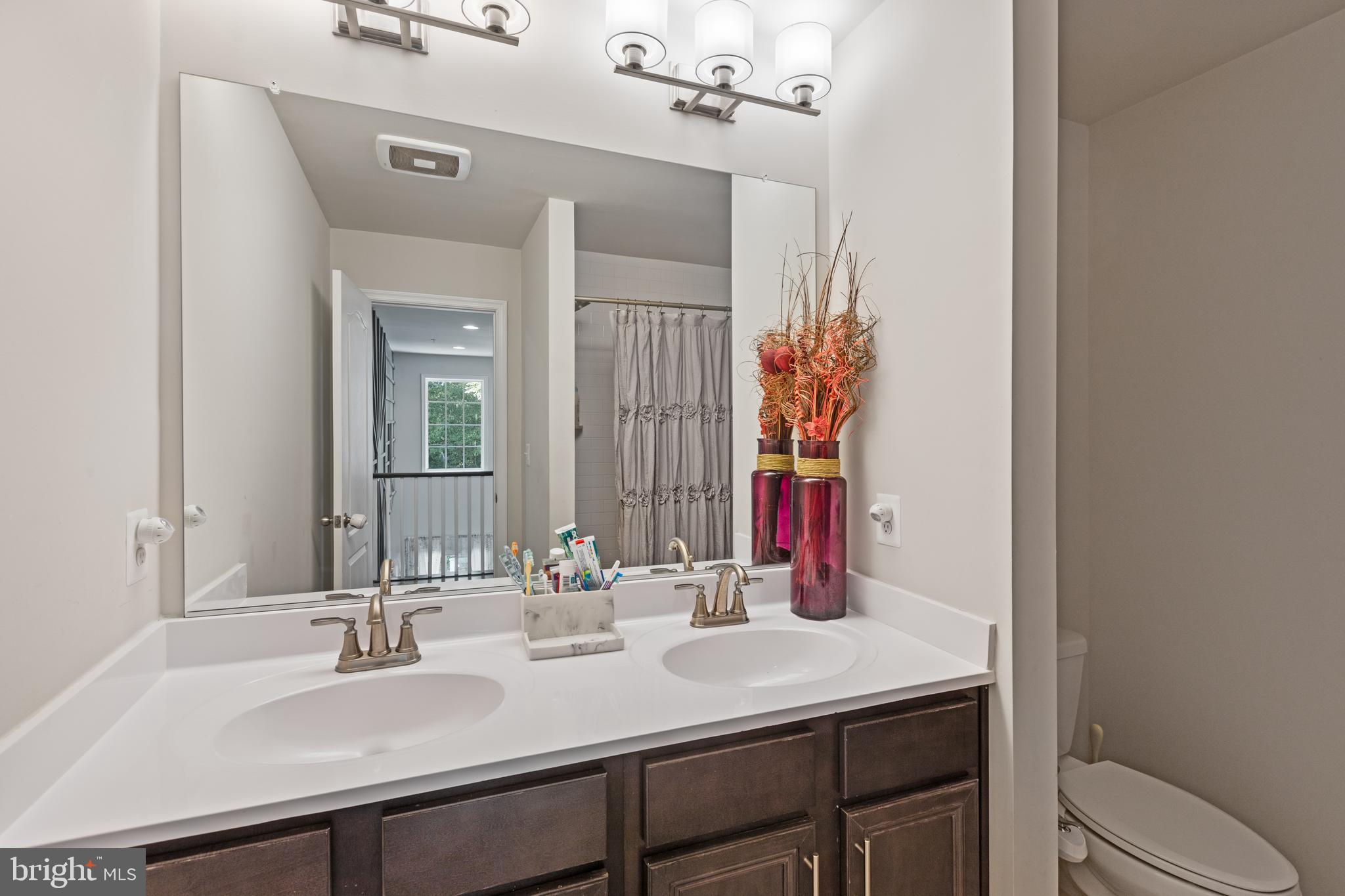 6676 Timber Ridge Lane Bryans Road, MD 20616 - Photo 36 of 49 Upper Level Hall Bath (Upper Level)