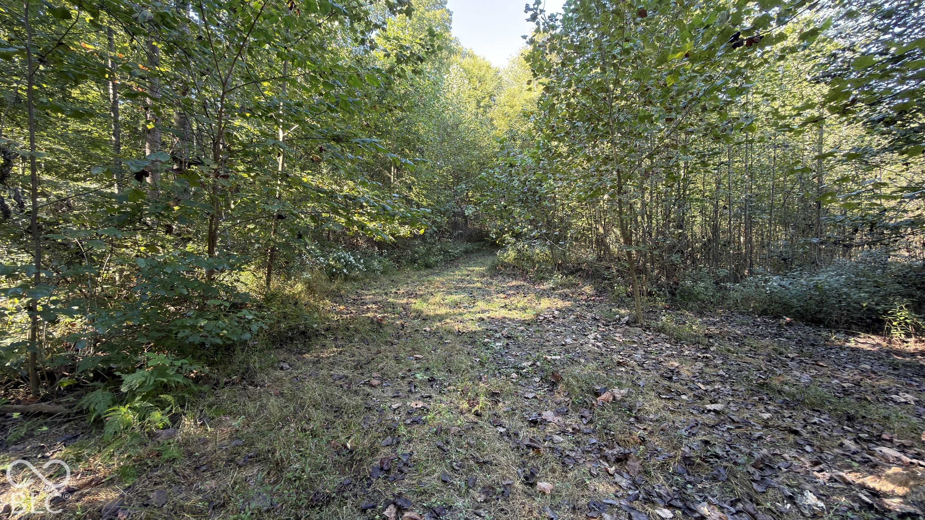 0 East Michaels Road Bloomfield, IN 47424 - Photo 17 of 67 Gallery Image 17