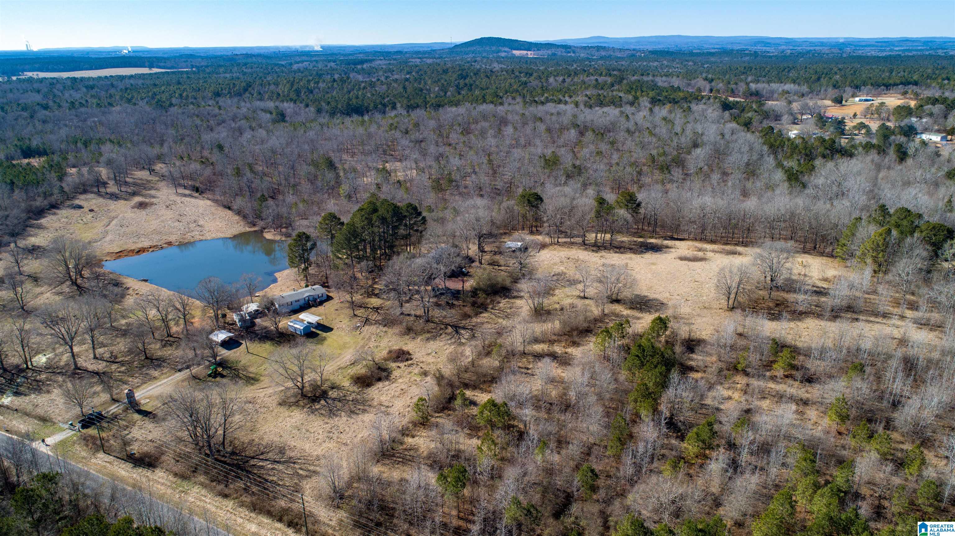 3086 Feddisburg Road, Unit ACREAGE SECTIONS 1 & 2 Alpine, AL 35014 - Photo 17 of 34