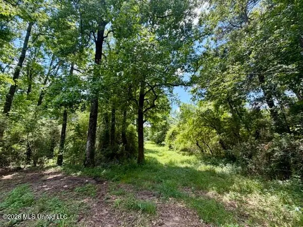 $175,000 | Oak Grove Road, Tylertown, MS 39667