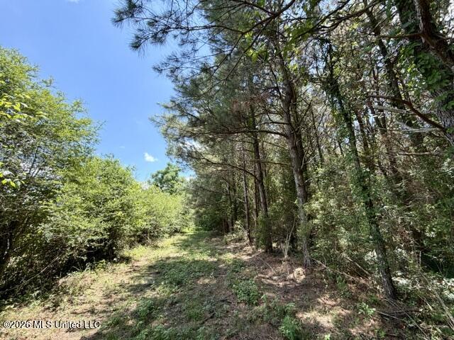 Oak Grove Road Tylertown, MS 39667 - Photo 11 of 13 IMG_0287
