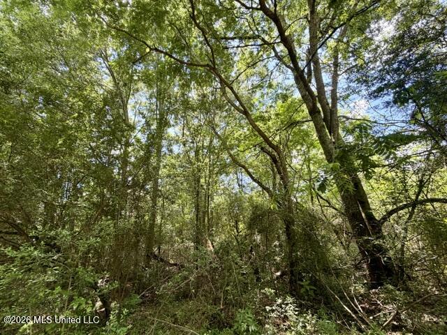 Oak Grove Road Tylertown, MS 39667 - Photo 13 of 13 IMG_0290