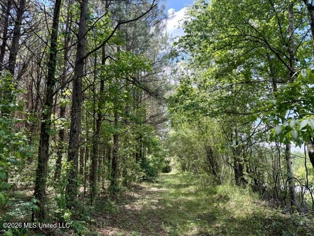 Oak Grove Road Tylertown, MS 39667 - Photo 2 of 13 IMG_0288