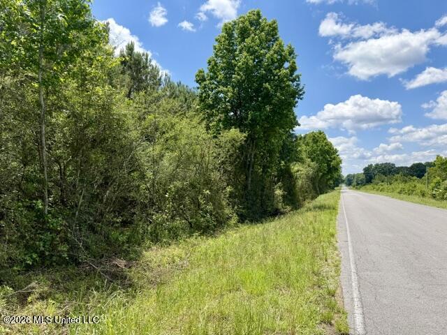 Oak Grove Road Tylertown, MS 39667 - Photo 5 of 13 IMG_0281