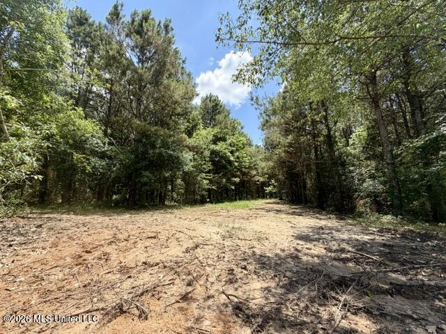 Oak Grove Road Tylertown, MS 39667 - Photo 6 of 13 IMG_0282