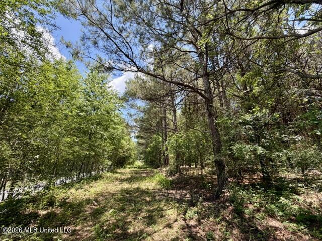 Oak Grove Road Tylertown, MS 39667 - Photo 10 of 13 IMG_0286