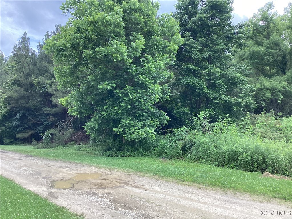 Tbd County Line Road Disputanta, VA 23842 - Photo 1 of 5 View showing private driveway /easement