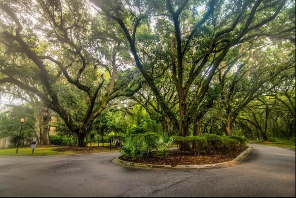 $2,000 | 60 Fenwick Hall Alley, Johns Island, SC 29455