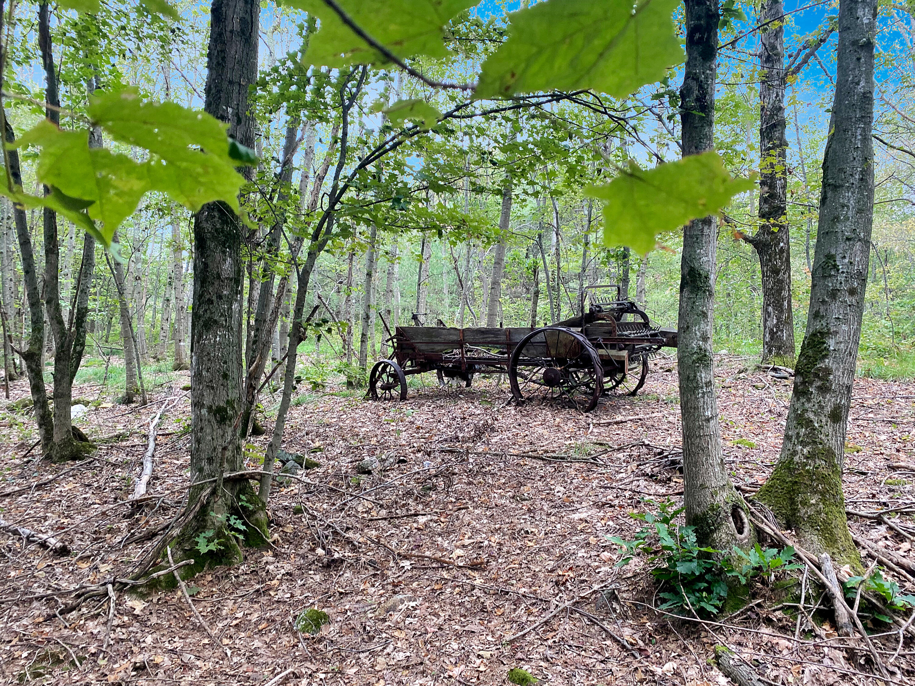 0 Upper Street Turner, ME 04282 - Photo 14 of 21 IMG_3723