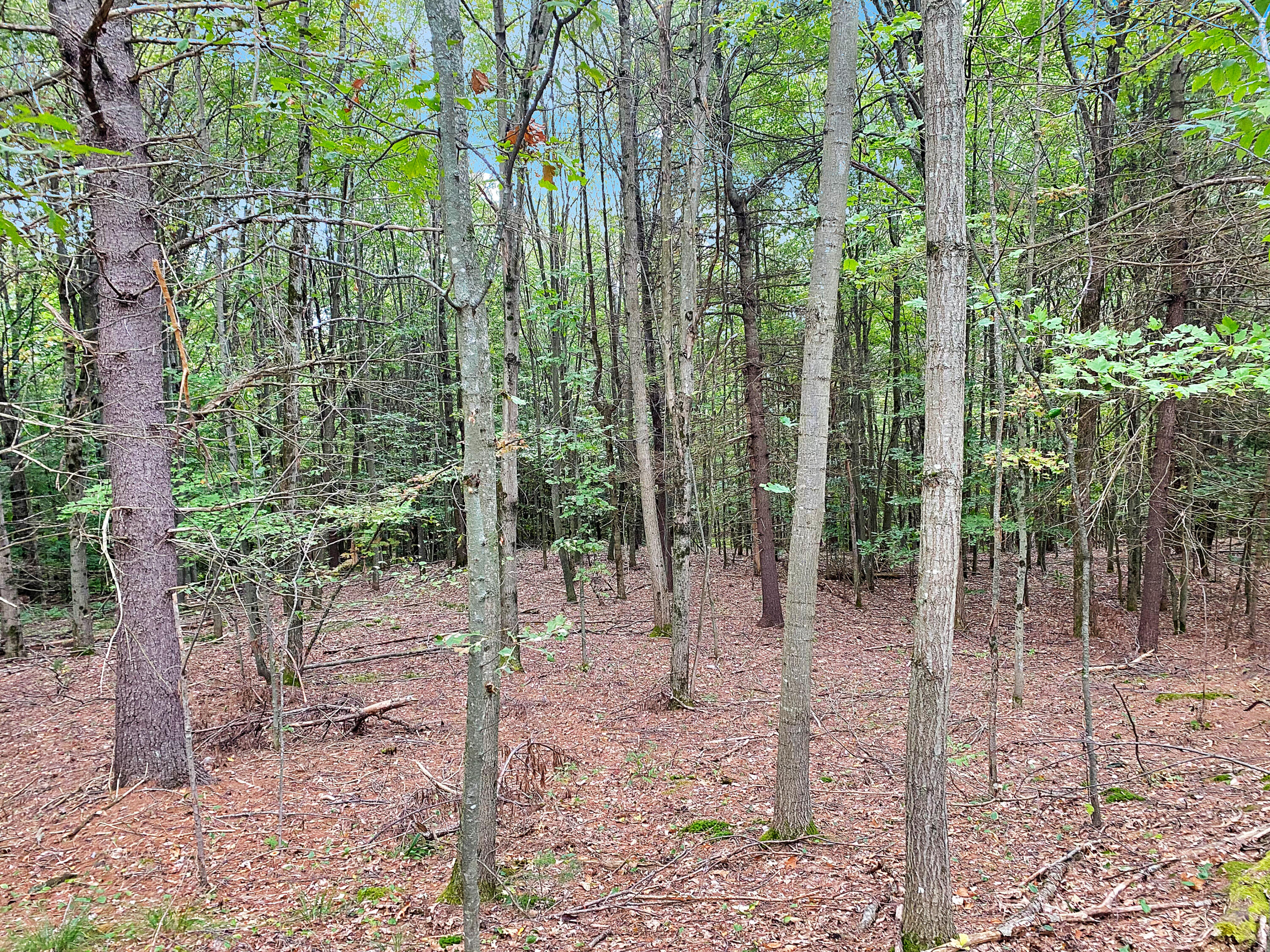 0 Upper Street Turner, ME 04282 - Photo 16 of 21 IMG_3725