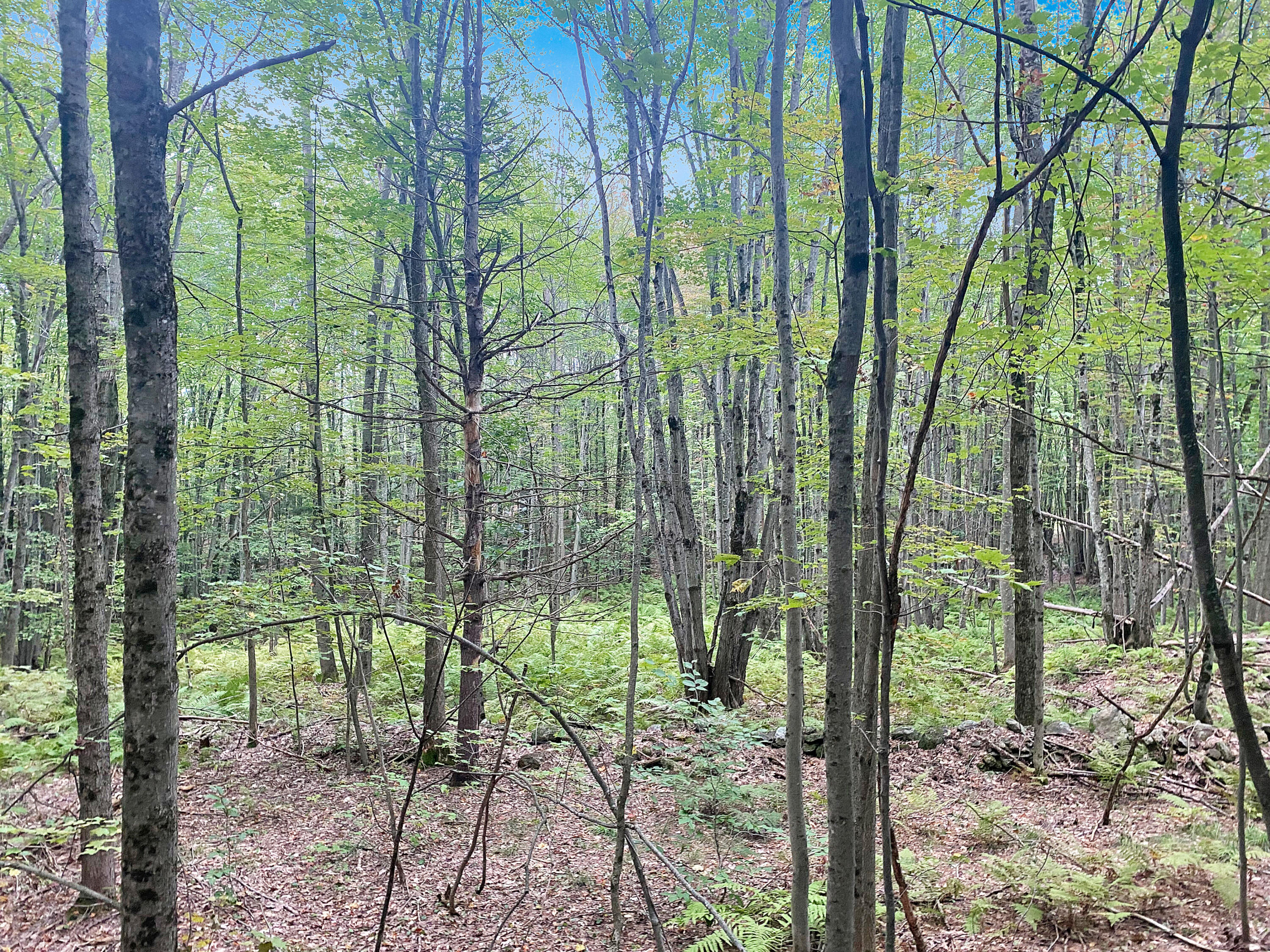 0 Upper Street Turner, ME 04282 - Photo 17 of 21 IMG_3729