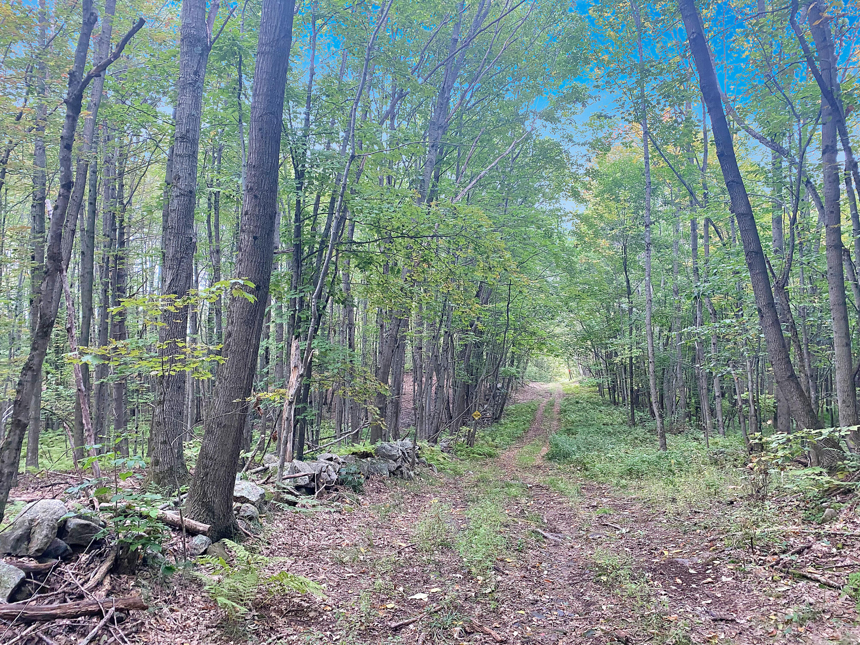 0 Upper Street Turner, ME 04282 - Photo 18 of 21 IMG_3731