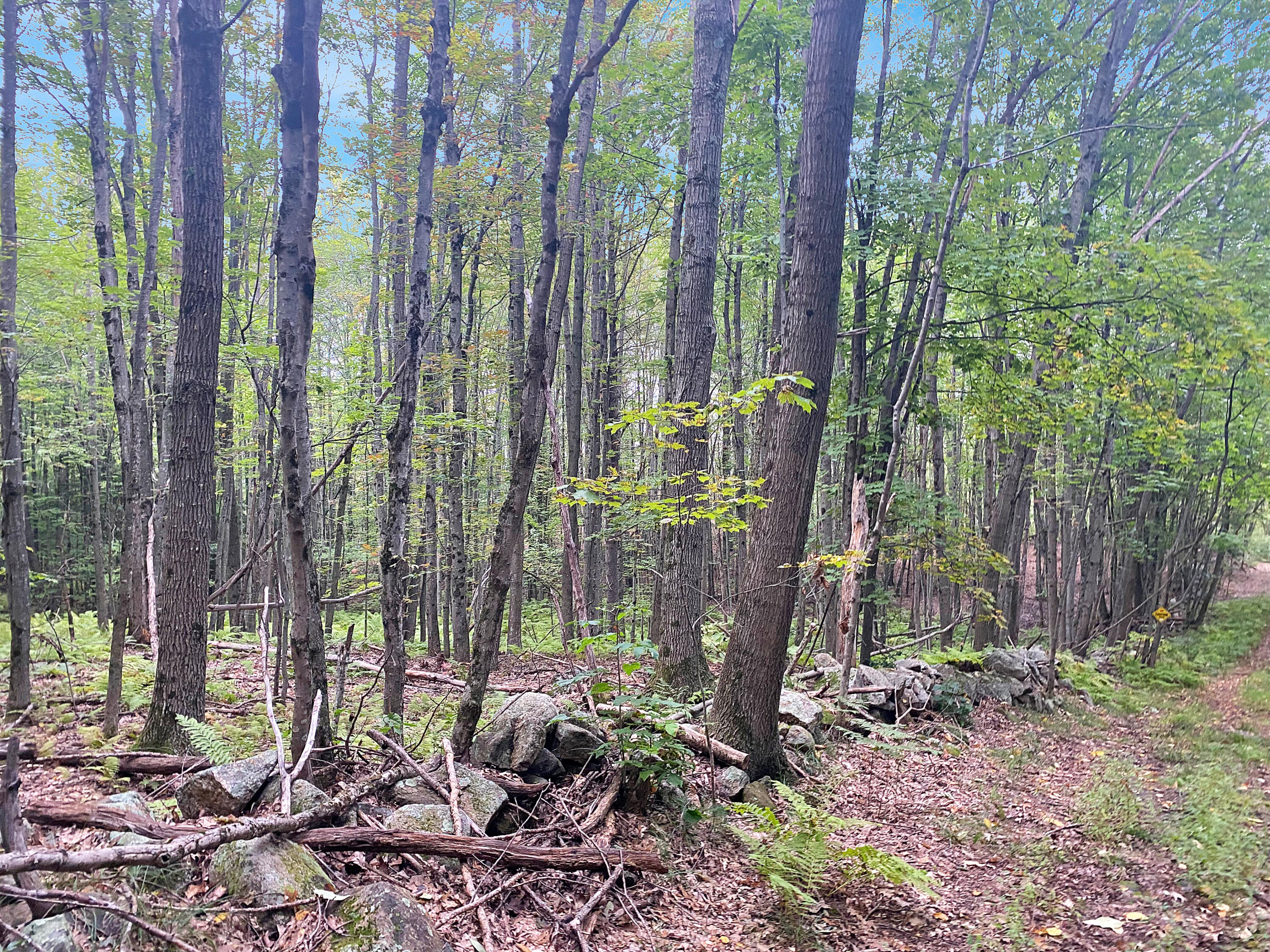 0 Upper Street Turner, ME 04282 - Photo 19 of 21 IMG_3732