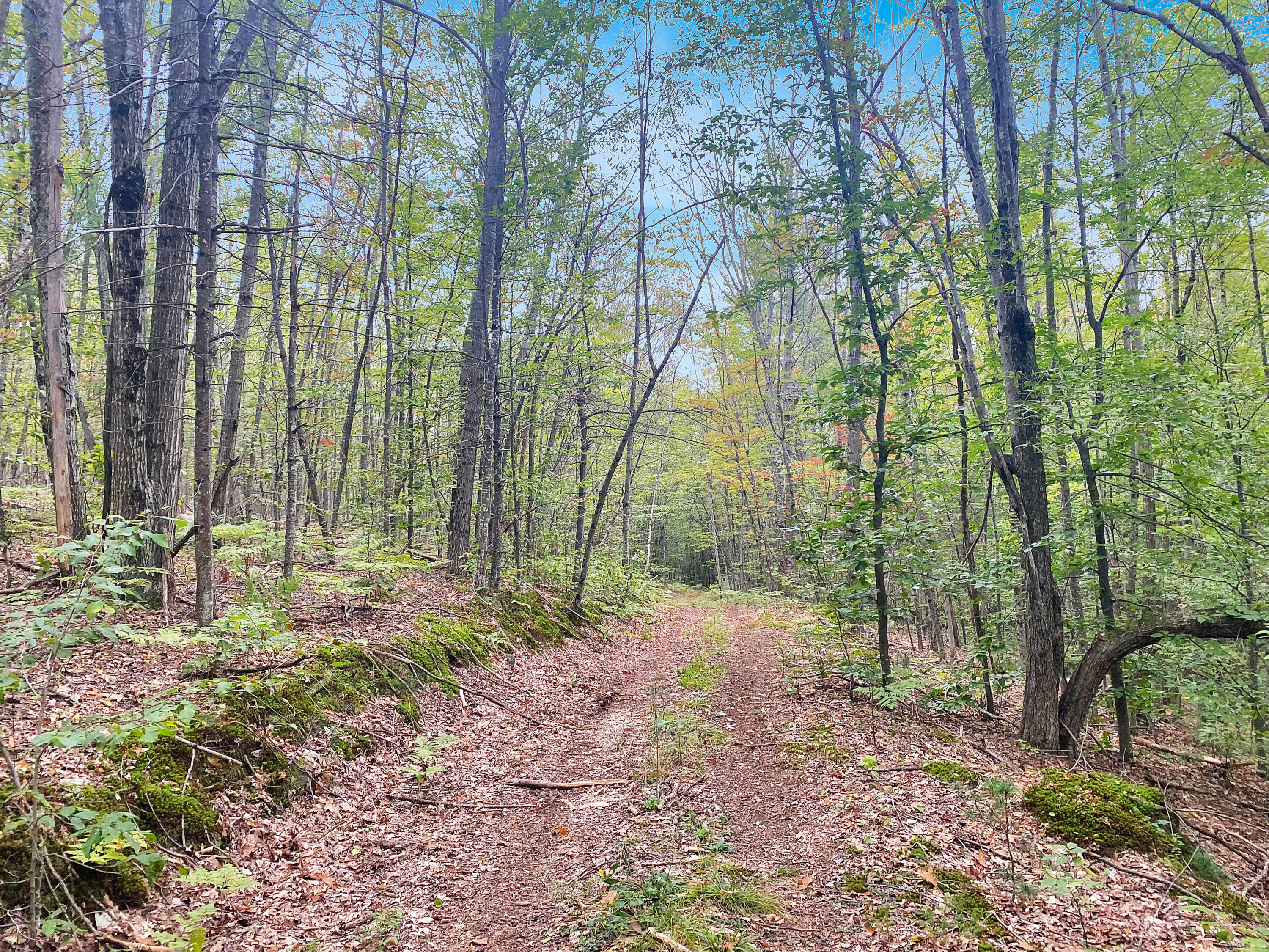 0 Upper Street Turner, ME 04282 - Photo 20 of 21 IMG_3736