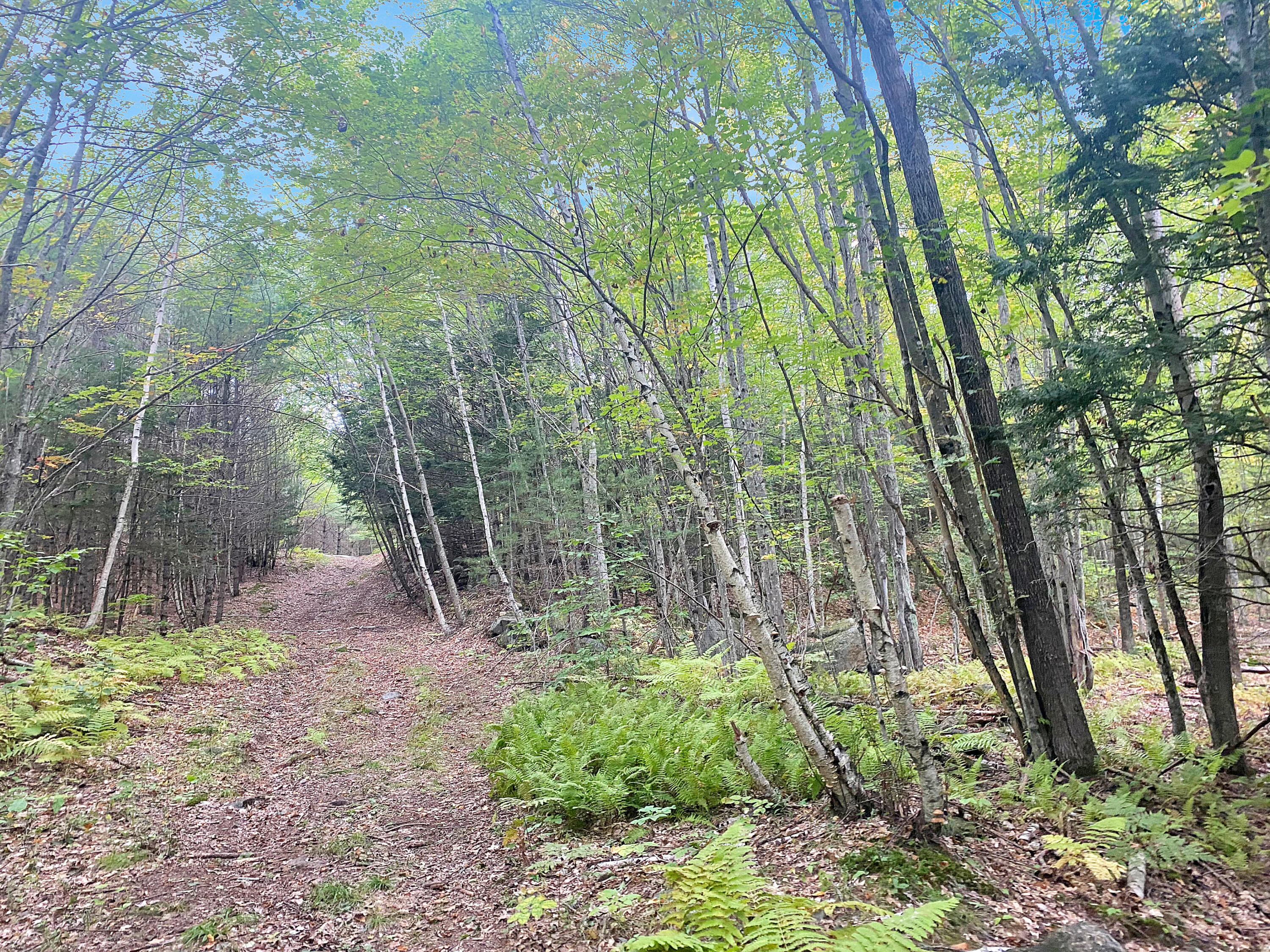 0 Upper Street Turner, ME 04282 - Photo 21 of 21 IMG_3737