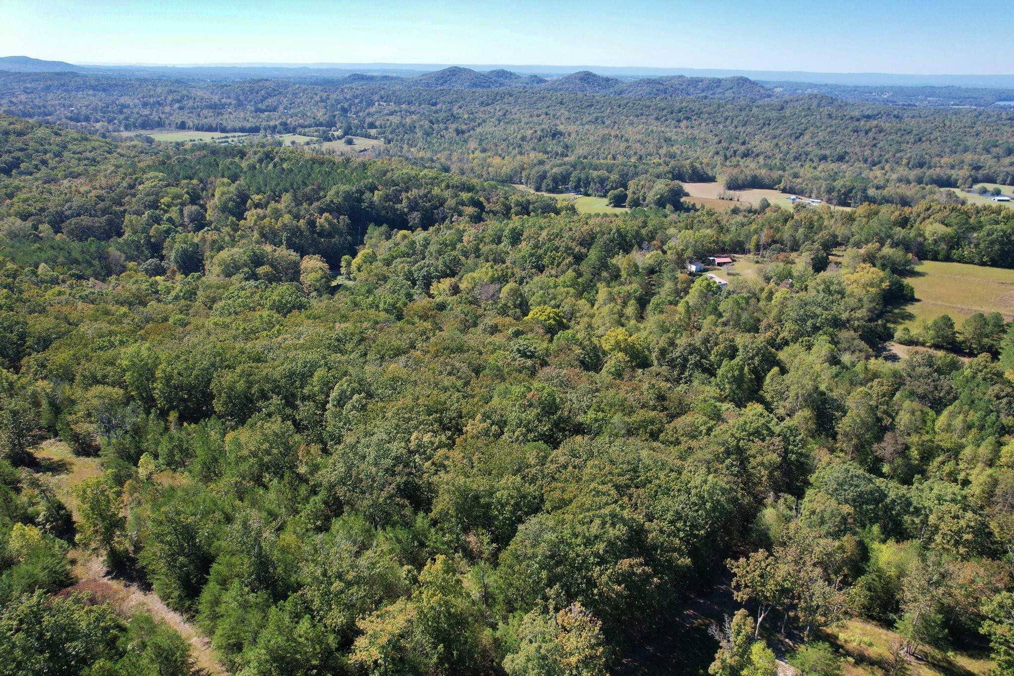 3 Eads Bluff Road Northwest Georgetown, TN 37336 - Photo 13 of 17