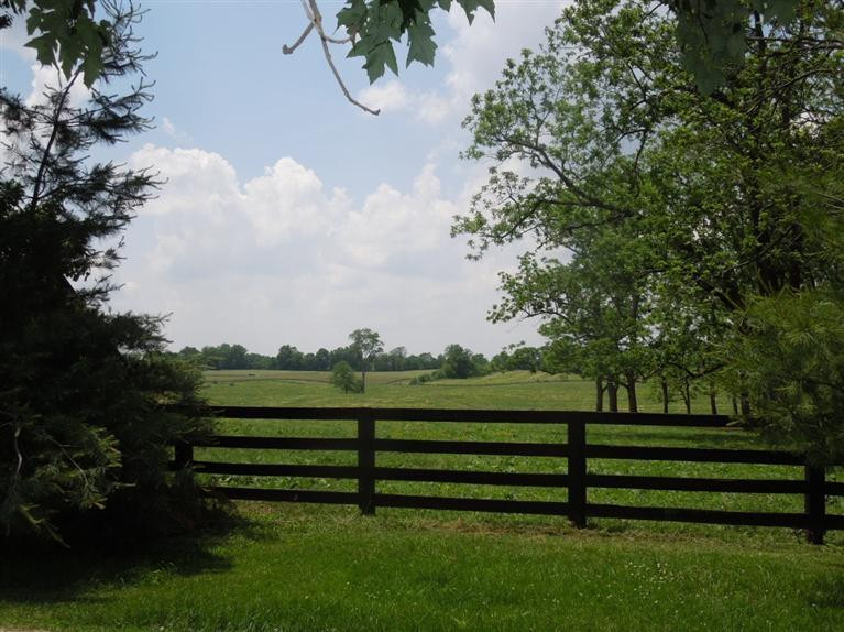 6400 Colby Road Winchester, KY 40391 - Photo 88 of 89 Photo 88
