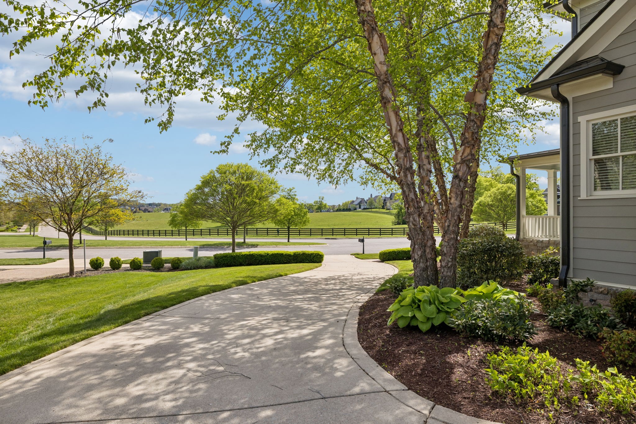 6033 Native Pony Trail College Grove, TN 37046 - Photo 74 of 87 a view of a garden with trees