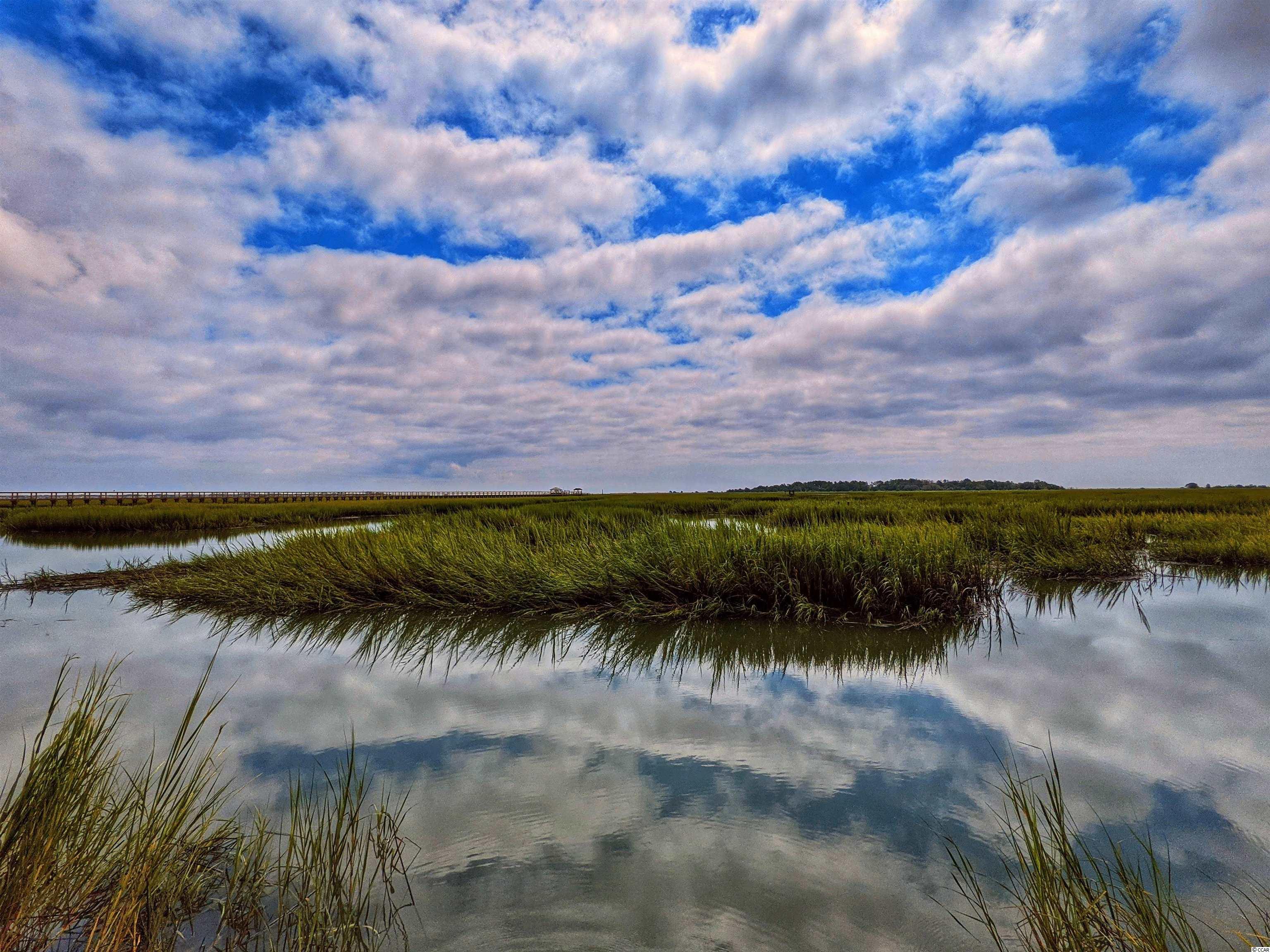 5175 Highway 17 Business Murrells Inlet, SC 29576 - Photo 34 of 40 Gallery Image 34