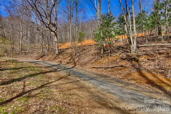 a view of backyard with large trees