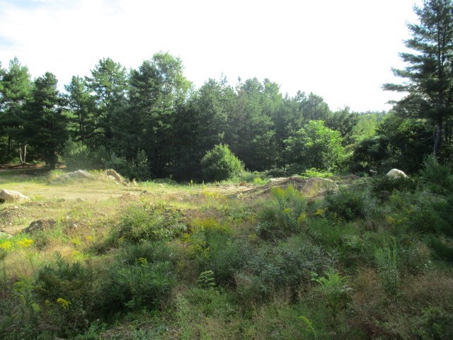 210 South Barnstead Road Barnstead, NH 03225 - Photo 4 of 6