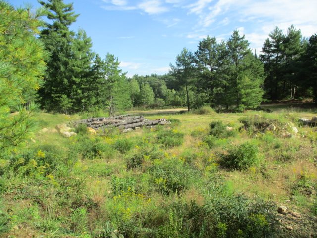 210 South Barnstead Road Barnstead, NH 03225 - Photo 5 of 6
