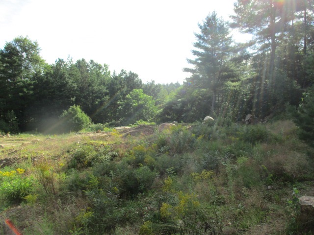 210 South Barnstead Road Barnstead, NH 03225 - Photo 6 of 6