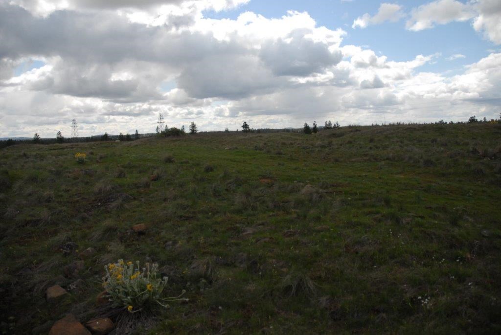 Xx West Jacobs Road Spokane, WA 99224 - Photo 2 of 8