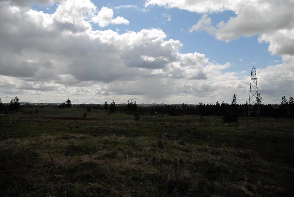 Xx West Jacobs Road Spokane, WA 99224 - Photo 6 of 8